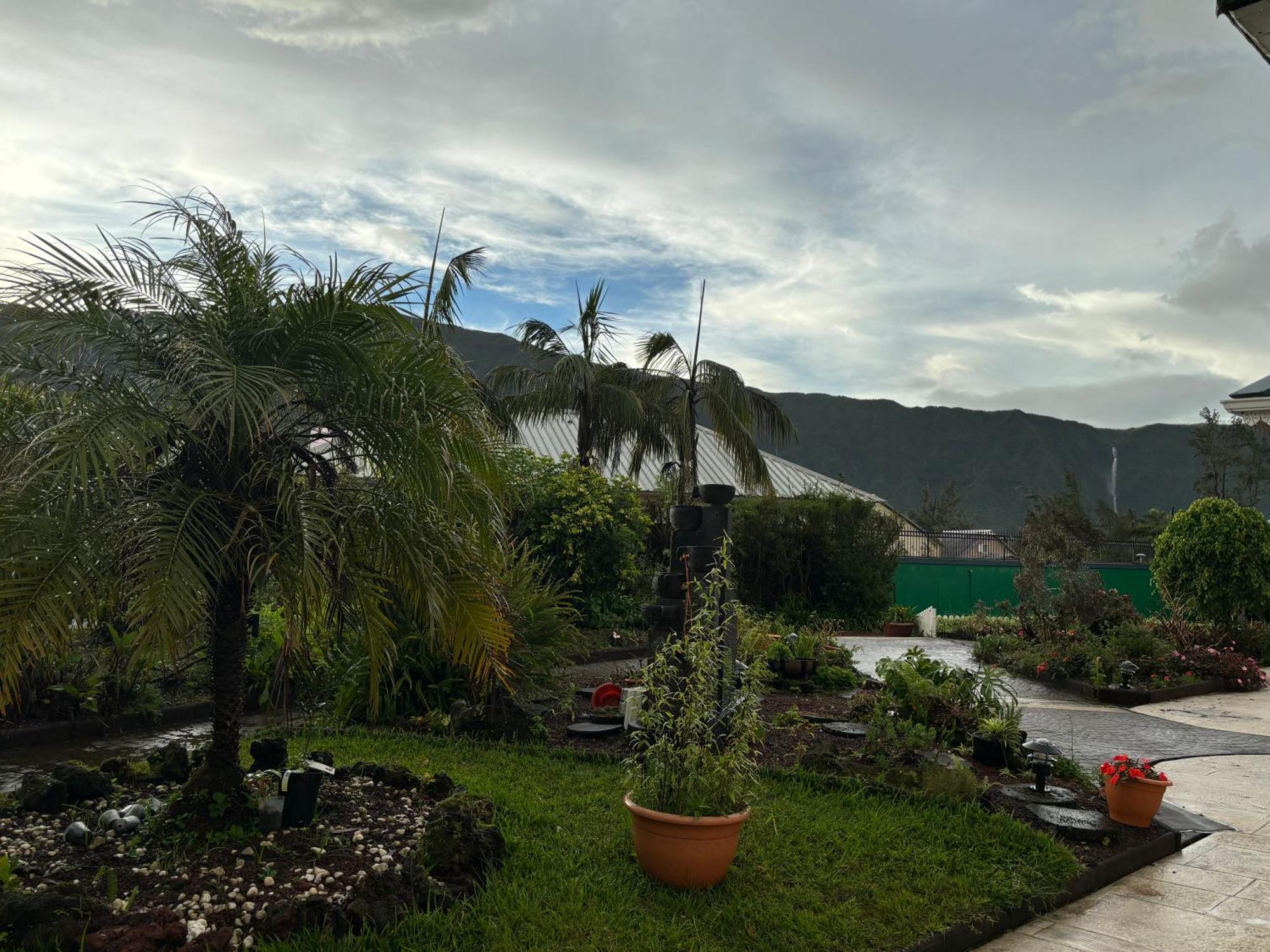 L'Echelle Bed & Breakfast La Plaine des Palmistes Bagian luar foto