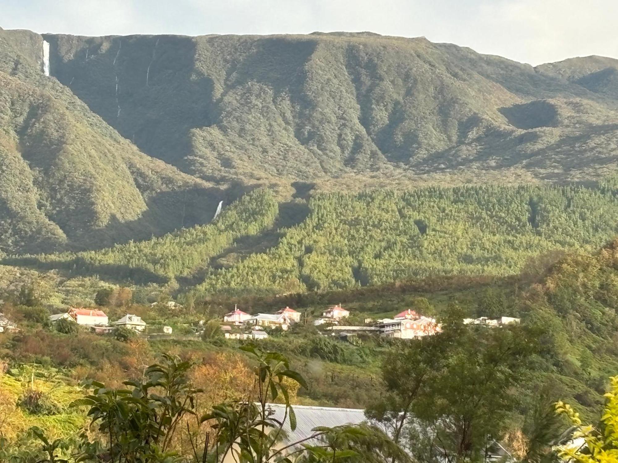 L'Echelle Bed & Breakfast La Plaine des Palmistes Bagian luar foto