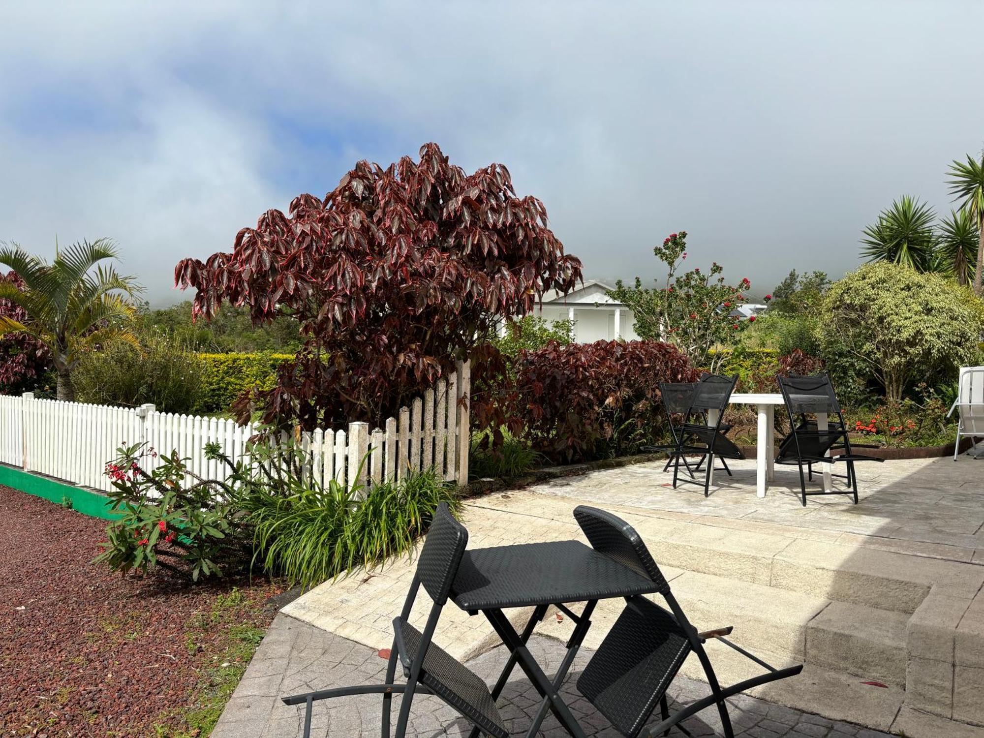 L'Echelle Bed & Breakfast La Plaine des Palmistes Bagian luar foto